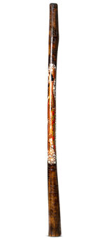 Trevor and Olivia Peckham Didgeridoo (TP186)